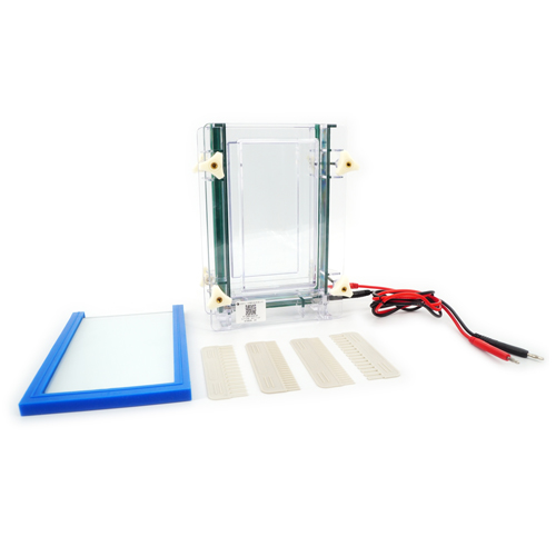 北京六一DYCZ-28B/DYCZ-28D型單板/雙板夾芯式垂直電泳儀(大號(hào)) 北京六一DYCZ-28B/DYCZ-28D型單板/雙板夾芯式垂直電泳儀(大號(hào))