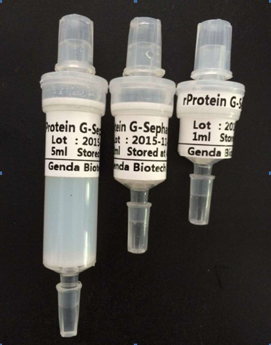 重組蛋白G預(yù)裝柱（rec-Protein G Column）