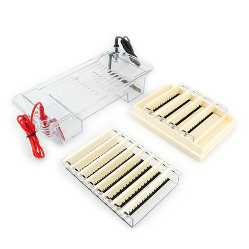 北京六一DYCP-32B型瓊脂糖水平電泳儀(中號)