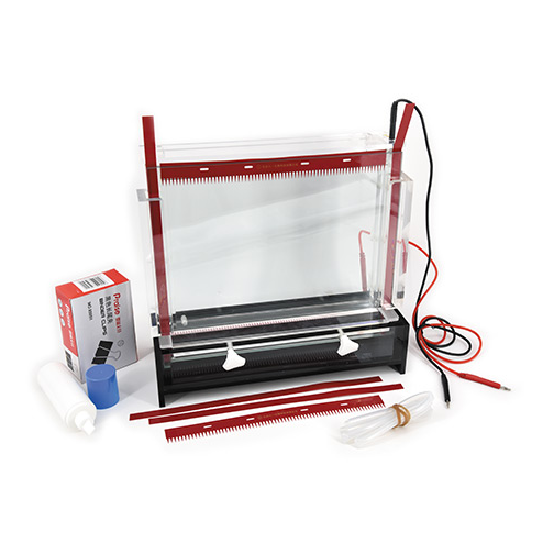 北京六一DYCZ-20C型DNA序列分析電泳儀