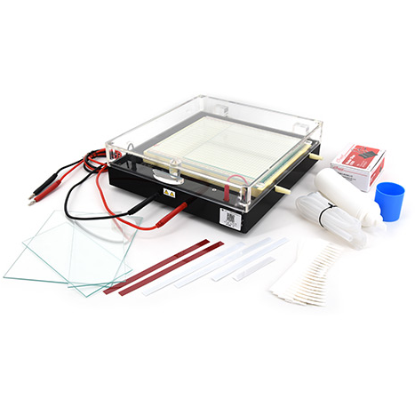 北京六一DYCP-37B型等電聚焦電泳儀